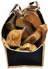 Firewood Log Tote Carrier
